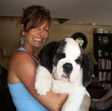 Joelle and Bronson the St. Bernard puppy